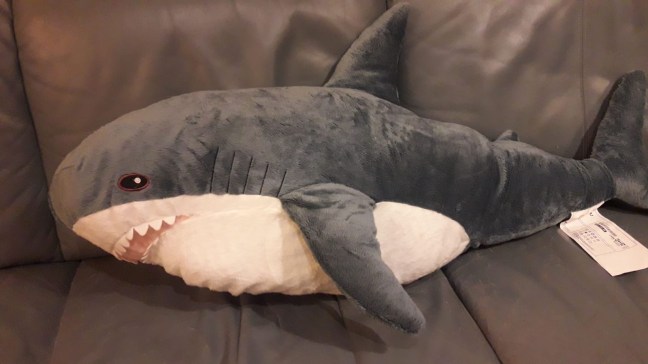 Stuffed Shark