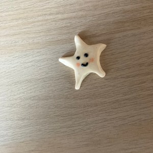 Polymer Clay Kawaii Star